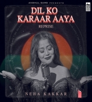 Dil Ko Karaar Aaya(Reprise)