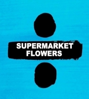 Supermarket Flowers - Ed Sheeran