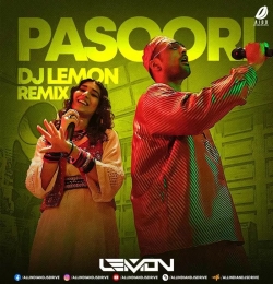 Pasoori - DJ Lemon Remix