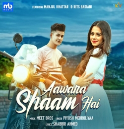 Aawara Shaam Hai - Piyush Mehroliyaa