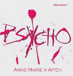 PSYCHO (feat. Aitch) [The Wild Remix] - Anne Marie