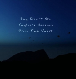 Say Dont Go - Taylor Swift
